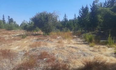 VENTA PARCELA LOS ÁNGELES |URETA BRAVO PROPIEDADES|