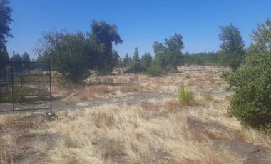 VENTA PARCELA LOS ÁNGELES |URETA BRAVO PROPIEDADES|