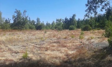 VENTA PARCELA LOS ÁNGELES |URETA BRAVO PROPIEDADES|