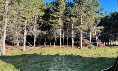 Casa en Arriendo en Sector El Claro Pampa Bahamonde Coyhaique