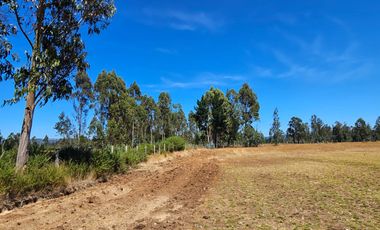 VENTA CAMPO EN PITRUFQUEN 10,5H