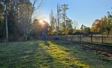 VENTA CAMPO EN PITRUFQUEN 10,5H
