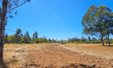 VENTA CAMPO EN PITRUFQUEN 10,5H