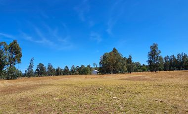 VENTA CAMPO EN PITRUFQUEN 10,5H