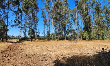 VENTA CAMPO EN PITRUFQUEN 10,5H