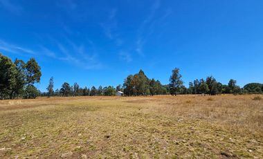 VENTA CAMPO EN PITRUFQUEN 10,5H
