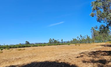 VENTA CAMPO EN PITRUFQUEN 10,5H