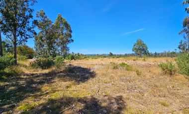 VENTA CAMPO EN PITRUFQUEN 10,5H