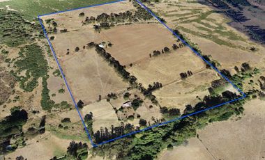 VENTA CAMPO EN PITRUFQUEN 10,5H