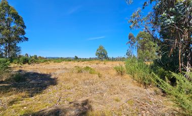 VENTA CAMPO EN PITRUFQUEN 10,5H