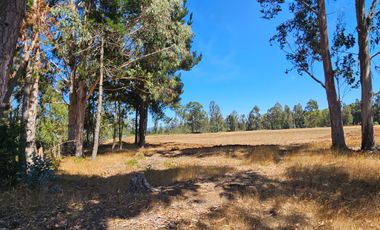 VENTA CAMPO EN PITRUFQUEN 10,5H