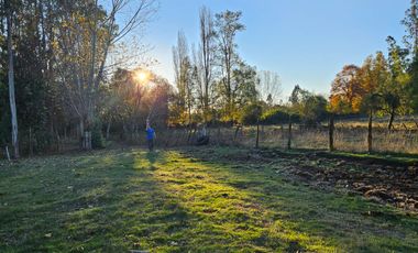 VENTA CAMPO EN PITRUFQUEN 10,5H