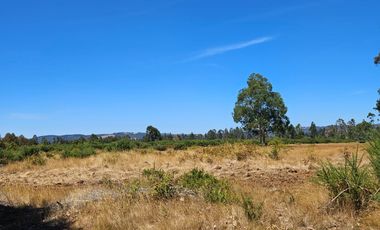 VENTA CAMPO EN PITRUFQUEN 10,5H