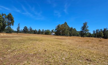 VENTA CAMPO EN PITRUFQUEN 10,5H