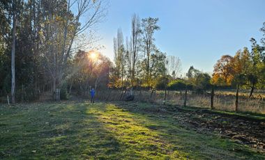 VENTA CAMPO EN PITRUFQUEN 10,5H