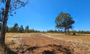 VENTA CAMPO EN PITRUFQUEN 10,5H