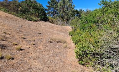 Sitio en Venta en Quebrada el Yeco