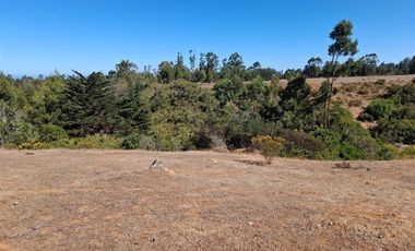 Sitio en Venta en Quebrada el Yeco