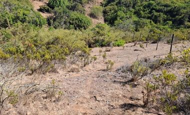 Sitio en Venta en Quebrada el Yeco