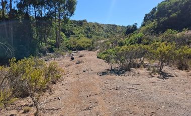 Sitio en Venta en Quebrada el Yeco