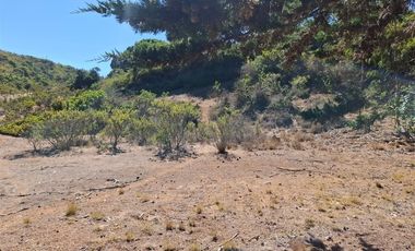 Sitio en Venta en Quebrada el Yeco