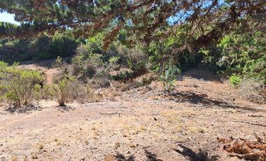 Sitio en Venta en Quebrada el Yeco