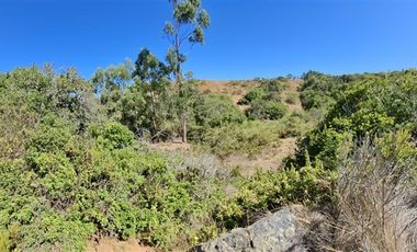 Sitio en Venta en Quebrada el Yeco