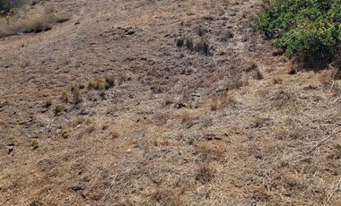 Sitio en Venta en Quebrada el Yeco