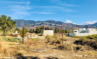 TERRENO EN TLALIXTAC - (3)