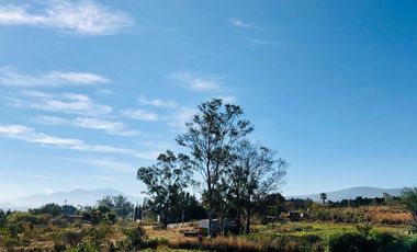 TERRENO EN TLALIXTAC - (3)