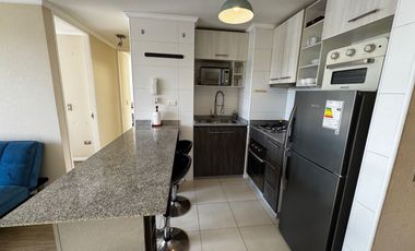 Arriendo Departamento Amoblado a 5 minutos centro de Concepcion