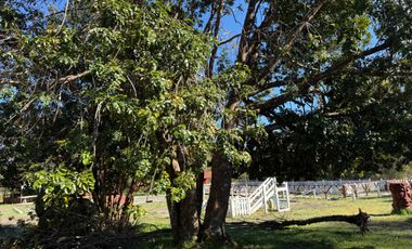 Terreno en venta ubicado en SEGUNDA FAJA ORILLA CARRETERA