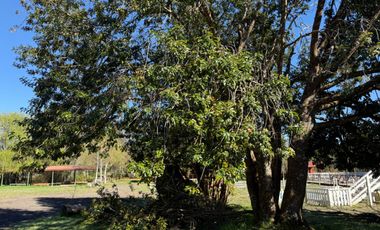 Terreno en venta ubicado en SEGUNDA FAJA ORILLA CARRETERA