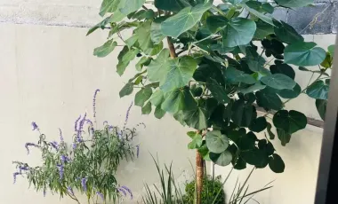 Casa en venta en Nuevo Mirasierra, Saltillo, Coahuila de Zaragoza