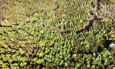 Sitio en Venta en Isla Tranqui - Sector Centinela