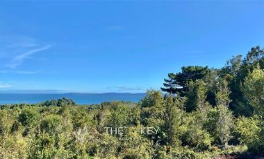 Sitio en Venta en Isla Tranqui - Sector Centinela