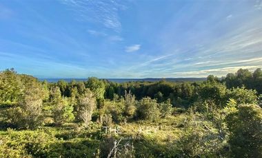 Sitio en Venta en Isla Tranqui - Sector Centinela