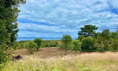Sitio en Venta en Isla Tranqui - Sector Centinela