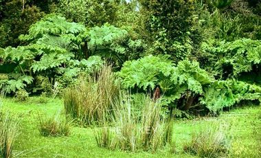 Terreno Construccion  en Venta en Isla Tranqui - Sector Centinela