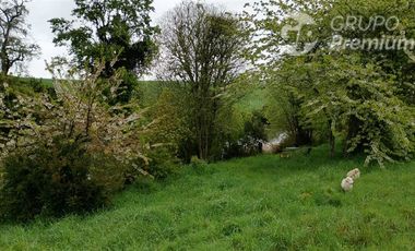 Parcela en Venta en Osorno camino a trumao km 18