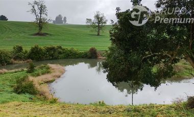 Parcela en Venta en Osorno camino a trumao km 18