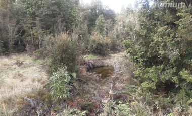 Parcela en Venta en Puerto Varas tres puentes