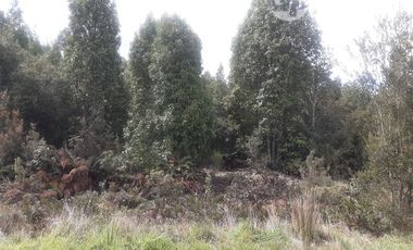 Parcela en Venta en Puerto Varas tres puentes
