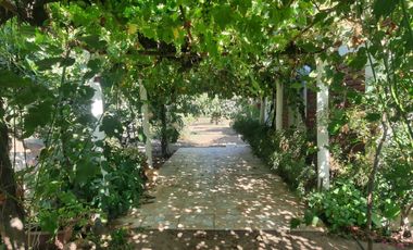 Parcela en Venta. El Escorial, camino Padre Hurtado.