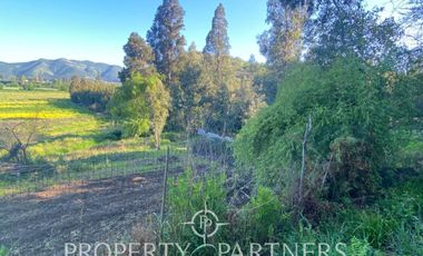 PRECIOSO CAMPO A LA VENTA