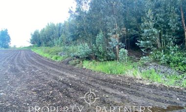 PRECIOSO CAMPO A LA VENTA