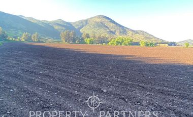 PRECIOSO CAMPO A LA VENTA