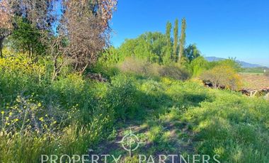 PRECIOSO CAMPO A LA VENTA