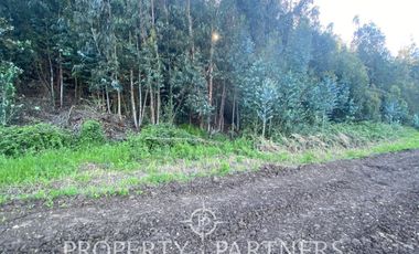 PRECIOSO CAMPO A LA VENTA