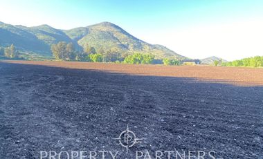 PRECIOSO CAMPO A LA VENTA